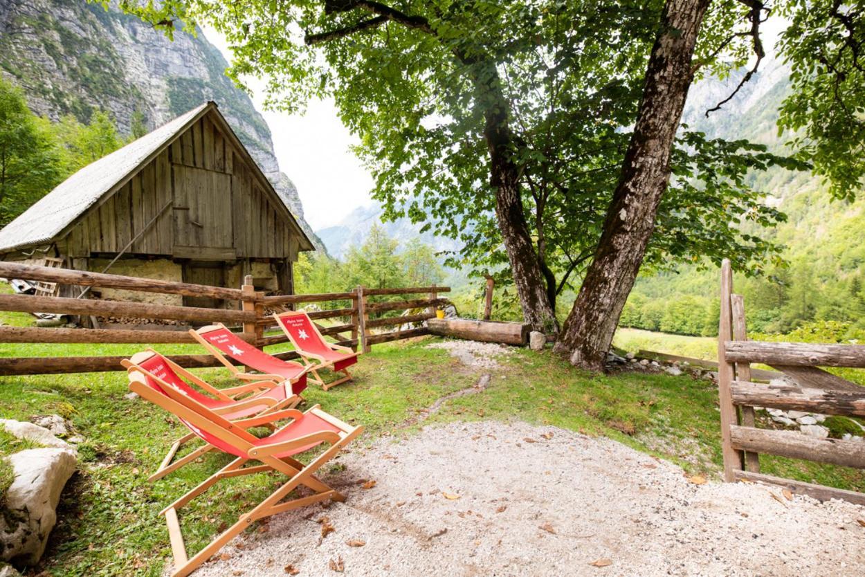 Alpine House Antonia Villa Trenta Exteriör bild